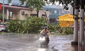 Mưa lớn dịch chuyển về phía Đông, Quảng Ninh chủ động xả nước bảo vệ hồ thủy lợi
