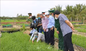 Thay đổi ở những vùng quê nông thôn mới