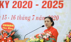 Đồng chí Nguyễn Phương Nga tái đắc cử Bí thư Đảng bộ Liên hiệp các tổ chức hữu nghị Việt Nam 