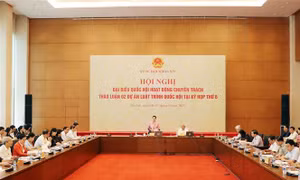 Nhiều ý kiến đồng tình Tòa án quyết định việc xử lý tài sản không giải trình được nguồn gốc