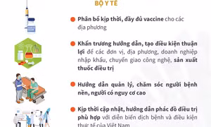 Thủ tướng yêu cầu tăng cường bảo vệ người thuộc nhóm nguy cơ cao mắc COVID-19