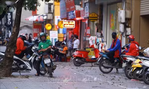Căn cứ nào để xác định mức thu nhập của lao động tự do được nhận hỗ trợ từ Chính phủ?