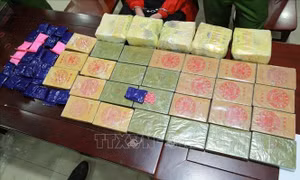 Lập Hội đồng thẩm định Báo cáo đề xuất Chương trình mục tiêu quốc gia phòng, chống ma túy