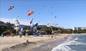 Du khách thích thú với Lễ hội thả diều - Hello Sunny tại Phan Thiết 