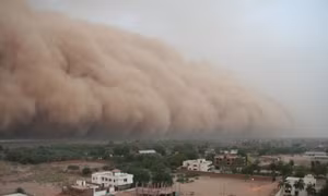 Bụi Sahara, kẻ 'phá hoại' mùa hè Caribe