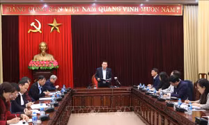 Bắc Ninh: Xét nghiệm sán lợn miễn phí cho học sinh 19 trường mầm non