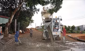 Dấu ấn người lính cụ Hồ ở biên giới Bù Gia Mập - Bài 1: Sức sống mới ở Tiểu khu 119