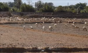 Chủ động triển khai các giải pháp trọng tâm phòng, chống thiên tai