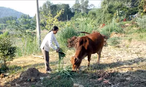 Diện mạo mới ở xã ATK Trung Yên