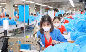 Nhiều lao động phổ thông mong muốn giảm thời gian đống BHXH xuống 15 năm.