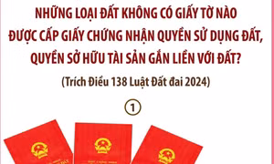 Từ 1/8/2024: Những loại đất không có giấy tờ nào được cấp Giấy chứng nhận quyền sử dụng đất, quyền sở hữu tài sản gắn liền với đất?