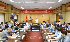 Tập huấn phòng, chống dịch bệnh và an toàn tiêm chủng tại hơn 700 điểm cầu