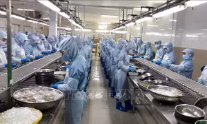 Thống nhất biện pháp thích ứng dịch bệnh, hàng hóa sẽ không bị đứt gẫy 