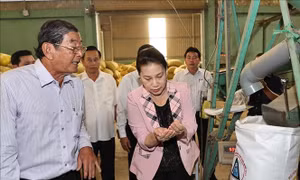 Chủ tịch Quốc hội thăm và làm việc tại tỉnh Sóc Trăng