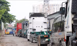 Sẽ xử lý nghiêm việc lợi dụng ùn tắc đăng kiểm để sách nhiễu, trục lợi