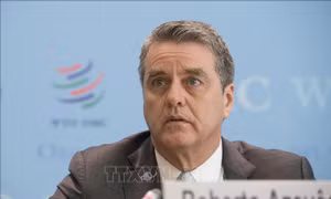 Tổng Giám đốc WTO: Quan hệ kinh tế quốc tế thay đổi mạnh mẽ nhờ WTO