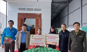Hỗ trợ gia đình kiểm lâm tử vong trong khi làm nhiệm vụ