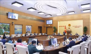 Khai mạc Phiên họp thứ 8 của Ủy ban Thường vụ Quốc hội