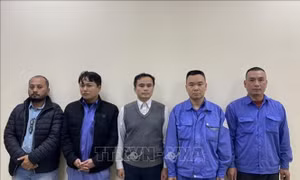 Bắt tạm giam nhiều đối tượng thuộc Trung tâm đăng kiểm xe cơ giới 29-01S và 29-27D