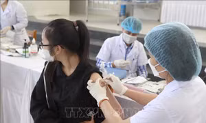 Quỹ vaccine phòng COVID-19 còn hơn 1.150 tỷ đồng