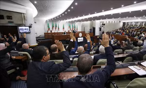 Tổng thống Algeria tuyên bố giải tán Quốc hội, tổ chức bầu cử lập pháp sớm