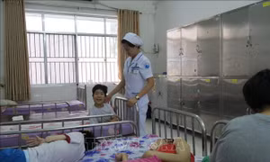 Dang dở giấc mơ Làng Cam - Bài 2: Những hệ lụy