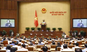 Thông cáo báo chí số 5, Kỳ họp thứ 3, Quốc hội khóa XV