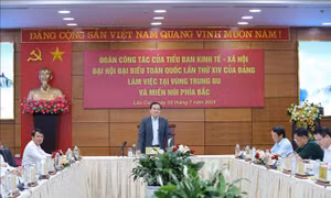 Cần chính sách đặc thù để phát triển kinh tế - xã hội các tỉnh trung du, miền núi phía Bắc