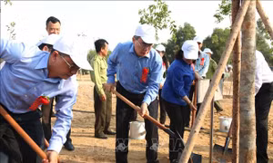 TP Hồ Chí Minh phát động Tết trồng cây đời đời nhớ ơn Bác Hồ