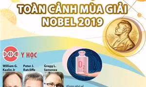 Toàn cảnh mùa giải Nobel 2019