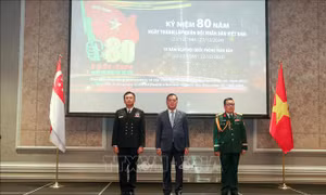 Hợp tác quốc phòng Việt Nam - Singapore đang phát triển toàn diện