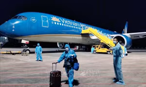 Yêu cầu khẩn trương cấp phép hãng hàng không đưa công dân Việt Nam về nước