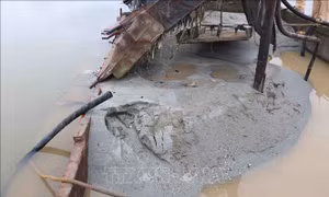 Xử phạt đối tượng khai thác cát trái phép trên sông Kiến Giang