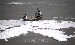 Chữa lành 'mạch máu Trái Đất'