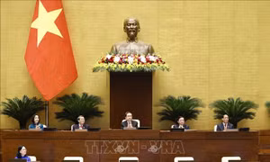Thông cáo báo chí số 30, Kỳ họp thứ 7, Quốc hội khóa XV