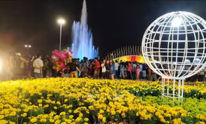 Tiền Giang khai mạc đường hoa, chợ hoa mừng Xuân Kỷ Hợi năm 2019