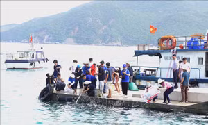 Thả con giống, tái tạo nguồn lợi thủy sản tại vịnh Nha Trang
