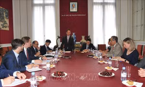 Doanh nghiệp châu Âu ủng hộ sớm ký kết FTA với Việt Nam