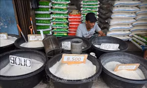 Indonesia lý giải nhu cầu cần nhập khẩu gạo