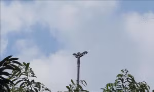 Đồng Nai xây dựng 10 vùng nông nghiệp ứng dụng công nghệ cao 
