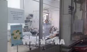 Khó bùng phát dịch cúm A/H1N1 nếu TP Hồ Chí Minh phòng, chống tốt