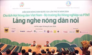 Nông dân mong được 'cởi trói' về đất đai sản xuất