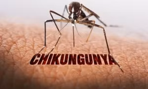 WHO cảnh báo biến đổi khí hậu làm gia tăng bệnh sốt xuất huyết, Chikungunya