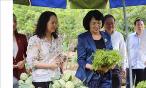 Đề nghị huyện Chi Lăng có chương trình cụ thể chăm lo cho đồng bào dân tộc thiểu số