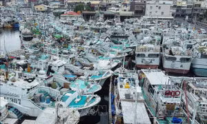 Trung Quốc hủy nhiều chuyến bay và đóng cửa trường học do bão Koinu