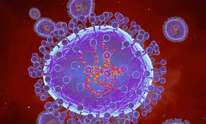 Trung Quốc thông tin về bệnh đường hô hấp do virus HMPV