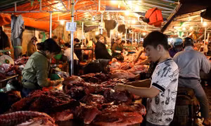 Cân đối nguồn cung thịt lợn nhằm bình ổn thị trường Tết 2020