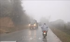 Đầu tháng 1/2022, miền Bắc vẫn rét
