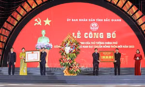 Huyện miền núi đầu tiên của Bắc Giang đạt chuẩn nông thôn mới