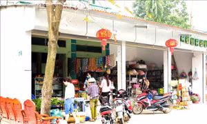 Cận cảnh cuộc sống nơi tâm dịch COVID-19 Sơn Lôi, Vĩnh Phúc